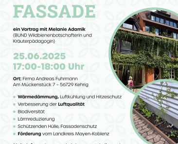 Lebensraum Fassade